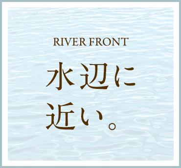 水辺に近い。