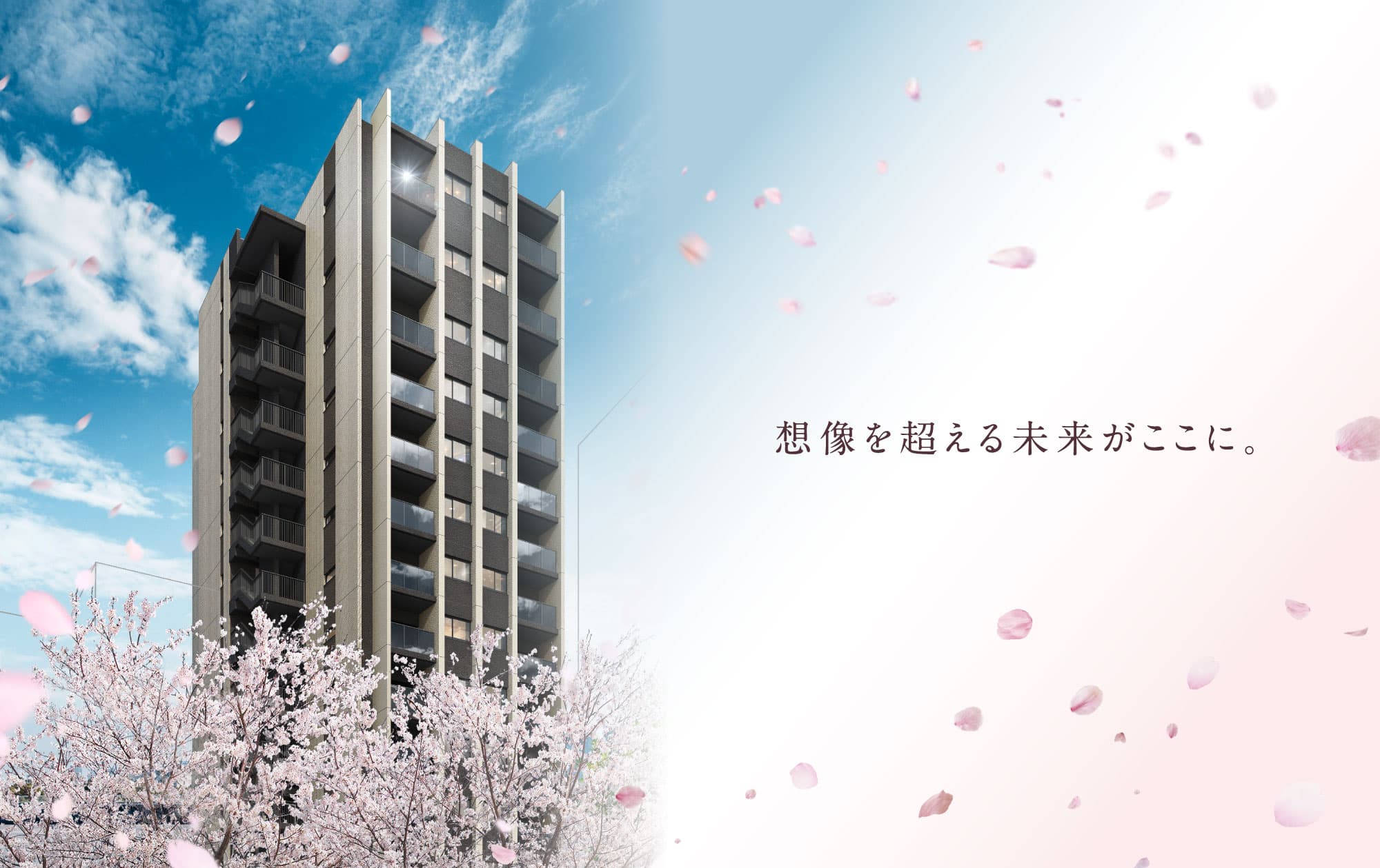 image photo